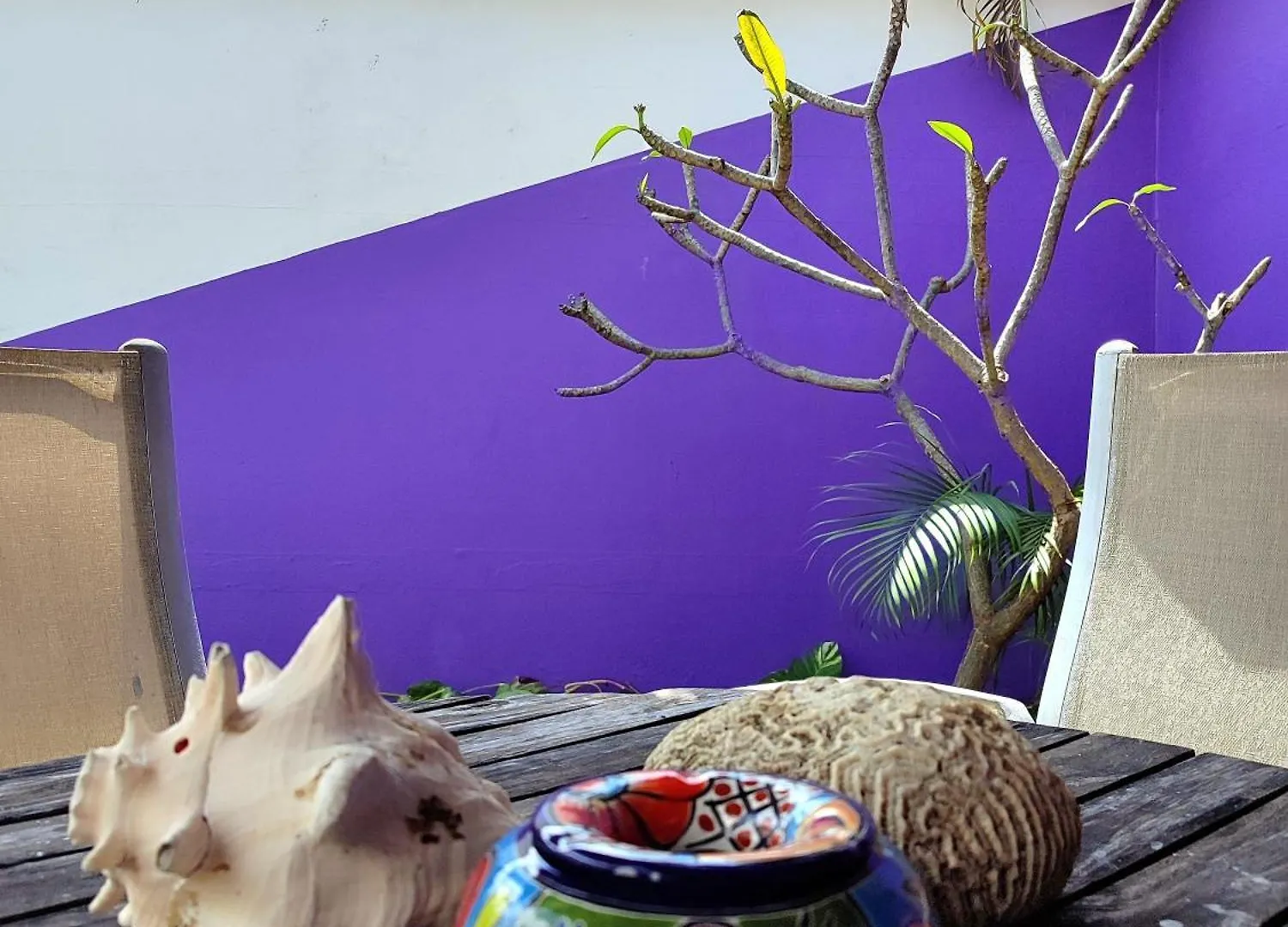 Holiday home Casa Cebra By The Beach - Playa Del Nino Cancun