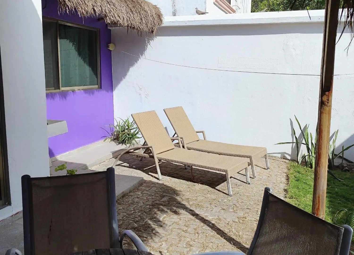Casa Cebra By The Beach - Playa Del Nino Cancun Holiday home